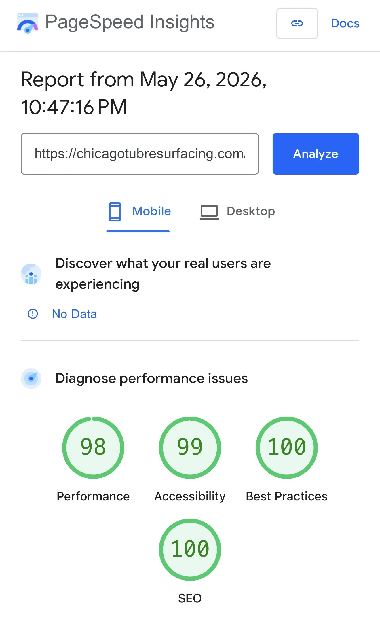 Скриншот PageSpeed Insights с техническим отчётом по скорости сайта.