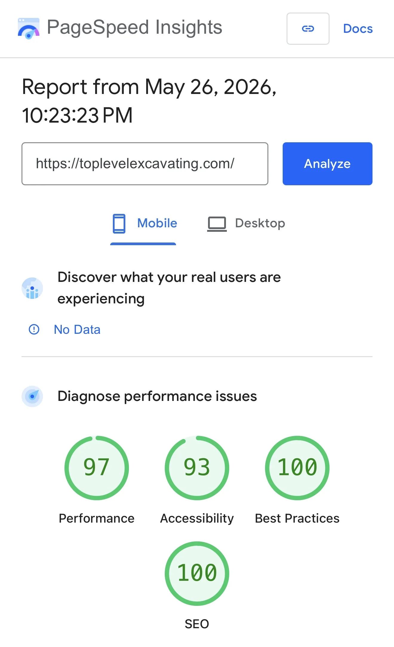 Скриншот PageSpeed Insights с техническим отчётом по скорости сайта.
